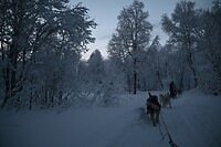 onderweg in het winterwonderland