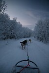 onderweg in het winterwonderland