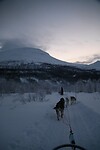 onderweg in het winterwonderland