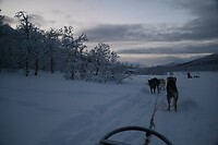 onderweg in het winterwonderland