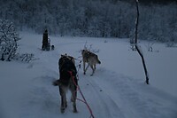 onderweg in het winterwonderland
