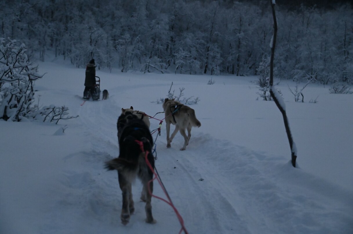 onderweg in het winterwonderland