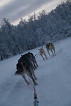 onderweg in het winterwonderland