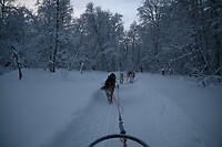onderweg in het winterwonderland