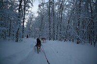 onderweg in het winterwonderland