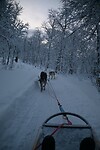 onderweg in het winterwonderland
