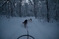 onderweg in het winterwonderland