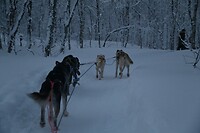 onderweg in het winterwonderland