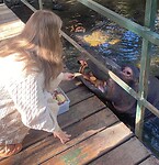 IMG-20250705-WA0027