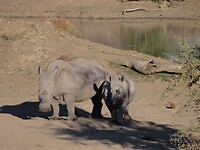 IMG-20250706-WA0045