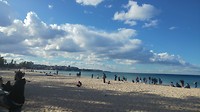 Manly Beach