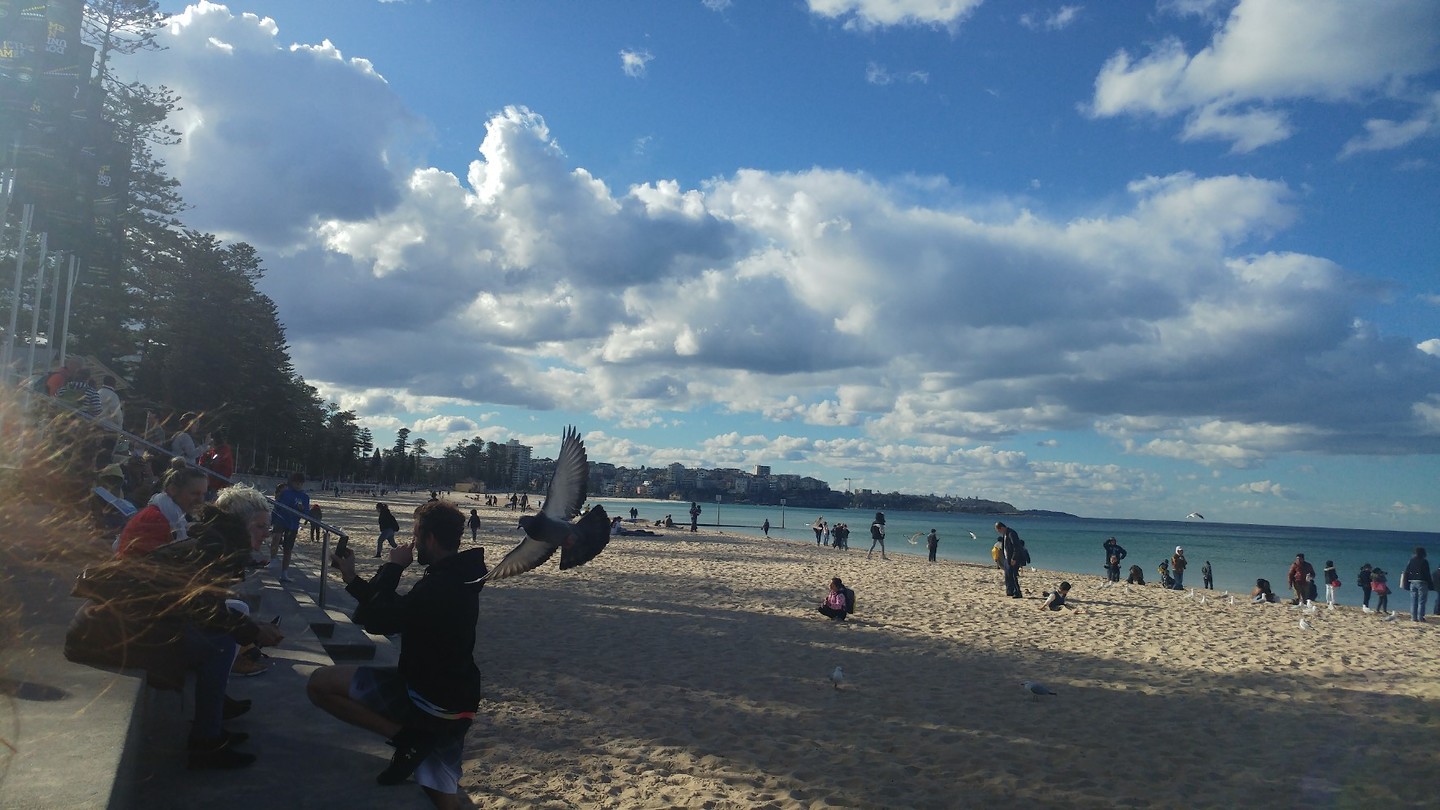 Manly Beach
