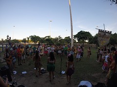 Carnaval in het park