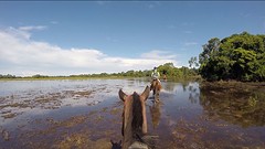 Paardrijden pantanal