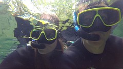 Snorkelen in Bonito