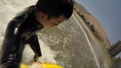 Surf Up!