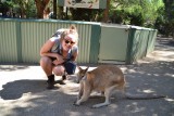 Kangaroo