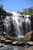 Mckenzie falls