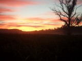 Zonsopgang