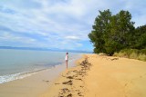 Abel Tasman NP