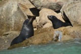 Abel Tasman NP