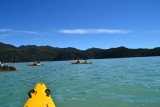 Abel Tasman NP