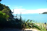 Abel Tasman NP