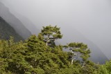 Milford road