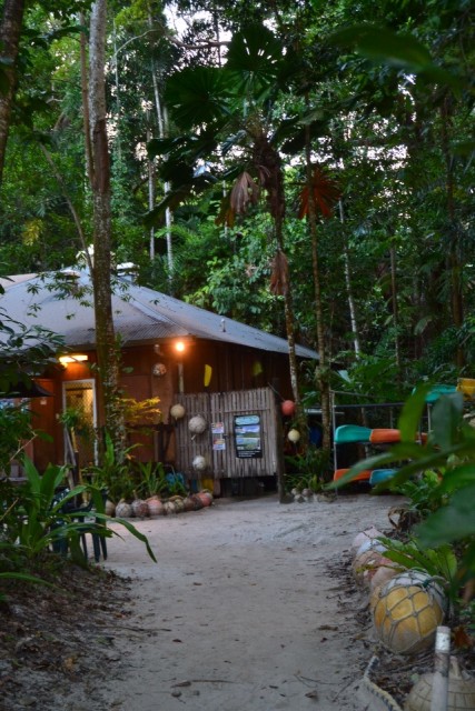 Cape tribulation