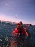 Snorkelen!
