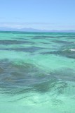 The reef!