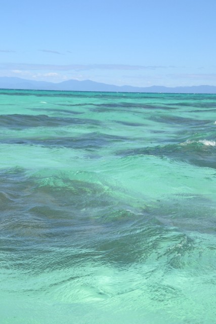 The reef!