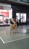 tango op straat