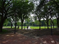 New Haven Green