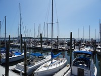 Pequonnock Yacht Club