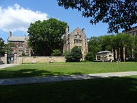 New Haven