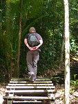 Jungle