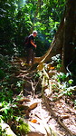Jungle