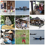 Collage