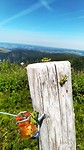 IMG-20190724-WA0006