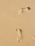 20200808_173321