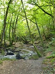 20200816_162505