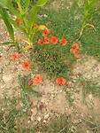 20200809_130758
