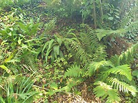 20200809_104347
