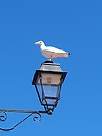 20200804_140546