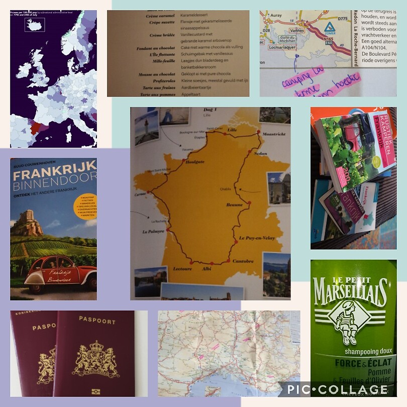 Collage 2020-07-31 11_50_38