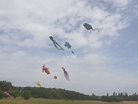 20210724_114046(0)