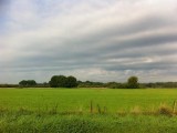 Omgeving
