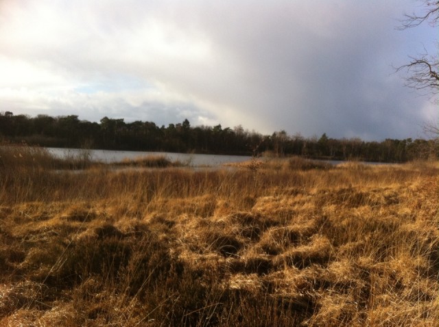 Kale heide