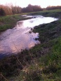 Vistrappen in de Beerze